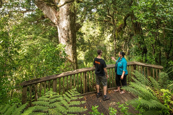 Private Auckland West Coast Day Tour - Scenic West Coast Exploration