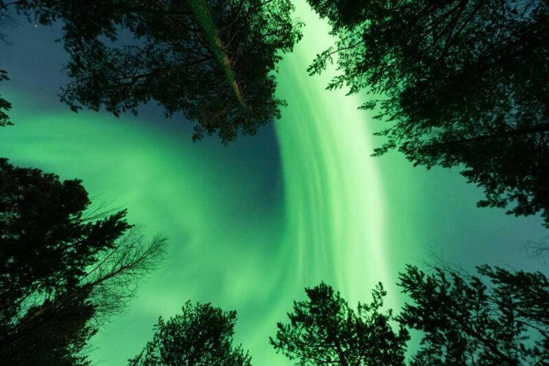 Private Aurora Hunt With Professional Photographers - Experience and Features