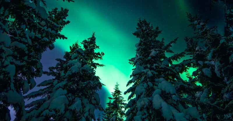 Private Aurora Hunt With Professional Photographers - Inclusions and Amenities