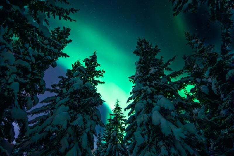Private Aurora Hunt With Professional Photographers - Participant Restrictions