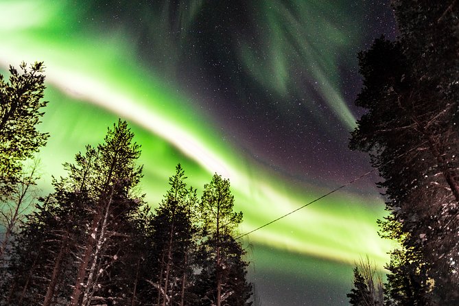 Private Aurora Tour (5 or More) by Aurora Experts - Rovaniemi - Customer Reviews