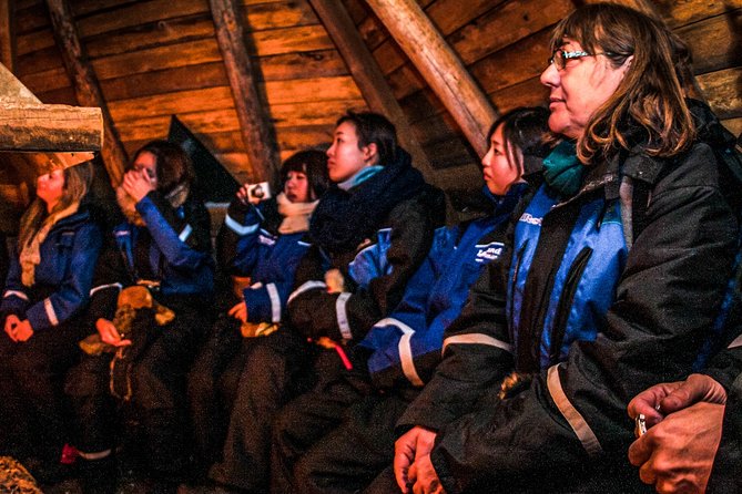 Private Aurora Tour (5 or More) by Aurora Experts - Rovaniemi - Witnessing the Aurora Borealis