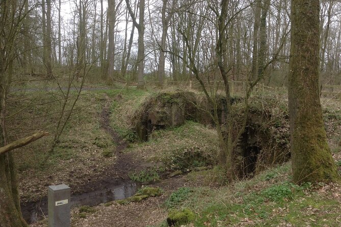 PRIVATE Australian Western Front Battlefields 3-Day Tour Ypres to Amiens - Knowledgeable and Empathetic Guide