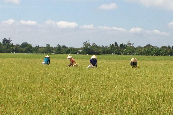 Private Authentic Mekong River Full Day Trip - Non Touristic Mekong Delta - Meeting and Pickup
