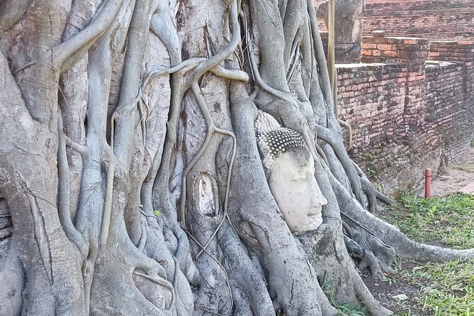 Private Ayutthaya Famous Temples Tour From Bangkok - Customer Reviews