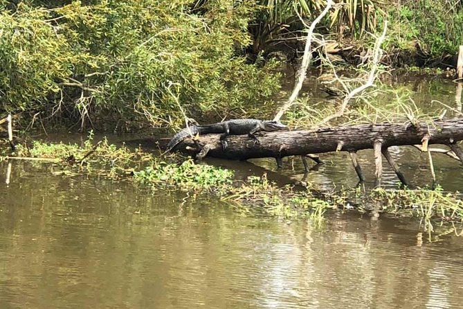 Private Bachelor or Bachelorette Airboat Swamp Tour in New Orleans - Tour Highlights and Inclusions