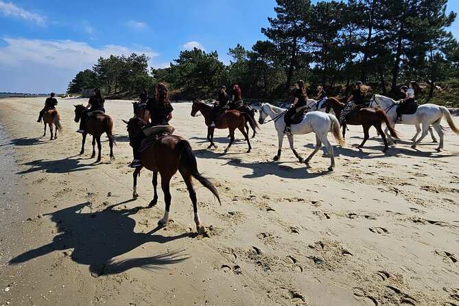Private Bachelorette Party With Horseback Riding on the Beach - Key Points