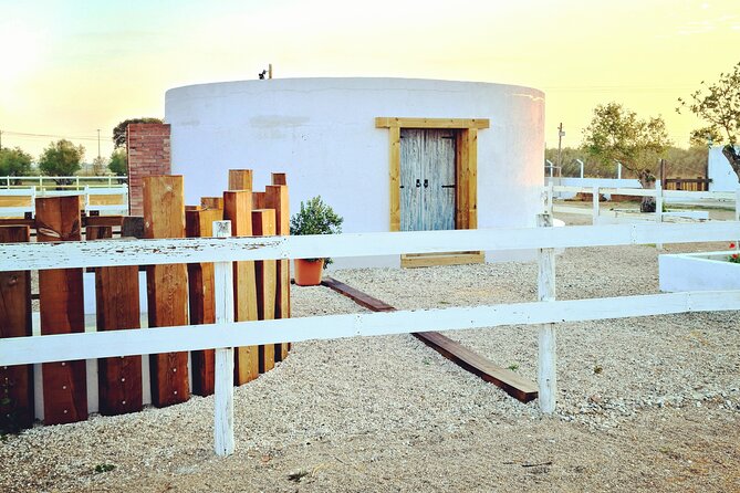 Private Bachelorette Party With Horseback Riding on the Beach - Anticipated Highlights