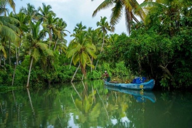 Private Backwater Cruise on a Houseboat and Shikara Including Lunch - Inclusions and Amenities