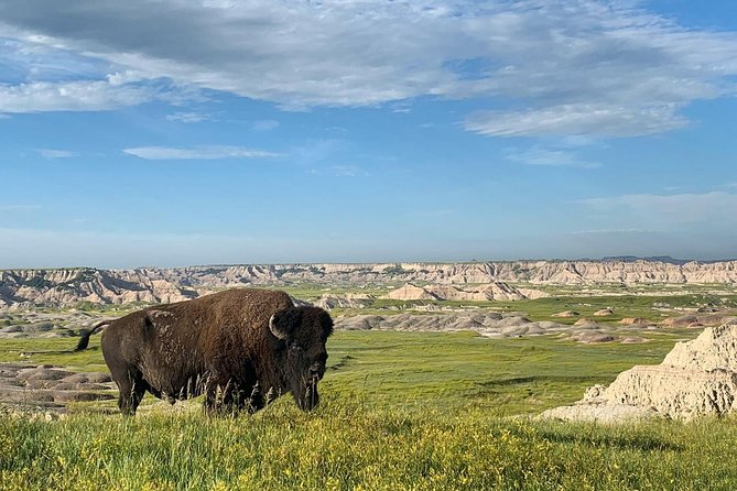 Private Badlands National Park Day Tour - Key Points