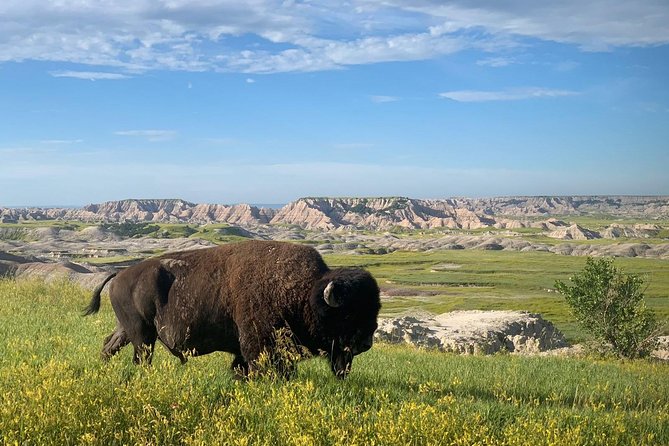 Private Badlands National Park Day Tour - Pickup Details
