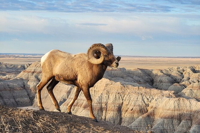 Private - Badlands Tour With Sunset/Stargazing - Stargazing Adventure