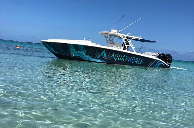 Private Bahamas Boat Fishing and Turtle Snorkeling Tour - Practical Tips for Booking and Enjoying