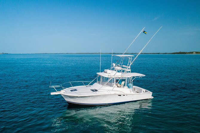 Private Bahamas Half-Day Fishing Tour From New Providence - Booking and Cancellation