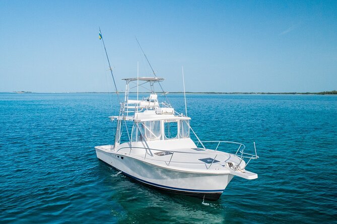 Private Bahamas Half-Day Fishing Tour From New Providence - Reviews