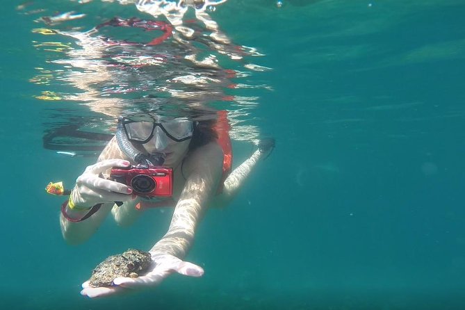 Private Bahia De Banderas South Beaches Adventure - Raving Reviews