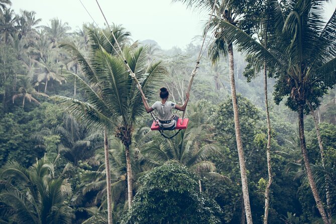 Private Bali Car Charter With Driver up to 6 People - Pickup Locations