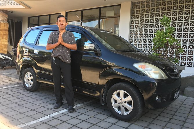 Private Bali Car Charter With Driver up to 6 People - Accessibility and Participation