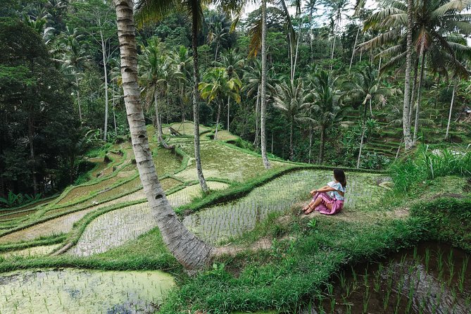 Private Bali Car Charter With Driver up to 6 People - Reasons to Choose