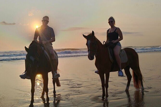 Private Bali Horse riding at saba beach - What to Expect from the Horse Riding Experience