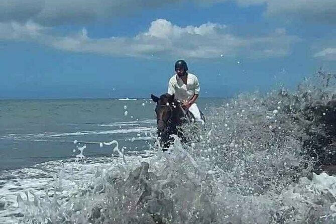 Private Bali Horse riding at saba beach - Why This Tour Is Worth Considering