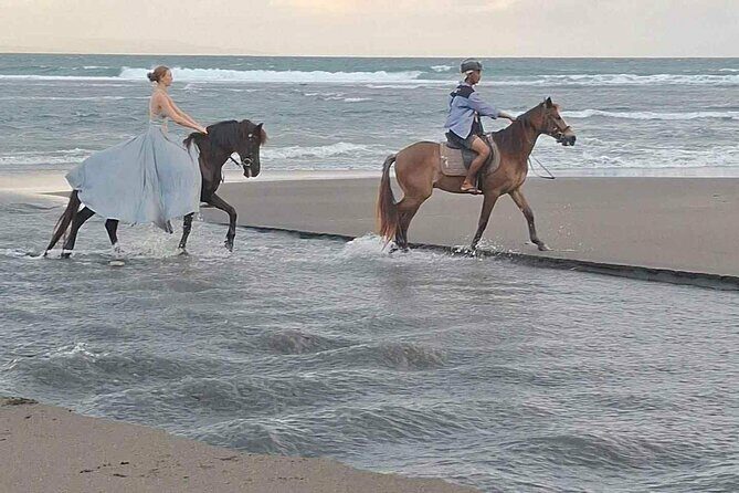 Private Bali Horse riding at saba beach - The Downsides and Considerations