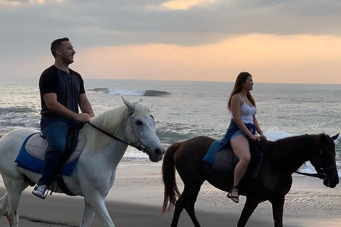 Private Bali Horse Riding in Seminyak Beach Luxury Experiance - Customer Feedback Highlights