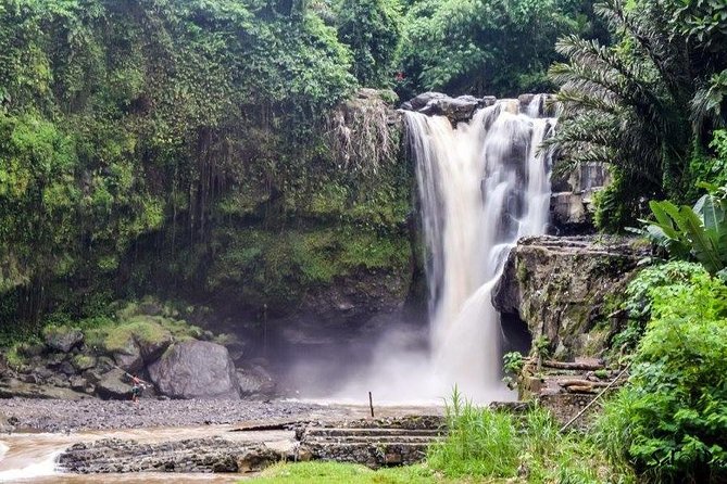 Private Bali, Jatiluwih Rice Terrace, Tanah Lot, Monkey Forest  - Seminyak - Ratings and Customer Reviews