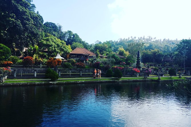 Private Bali Tour - Exploring The Most Scenic Spots - Tegalalang Rice Terrace