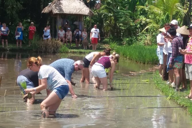 Private Balinese Village and Tanah Lot Temple Cultural Tour - Pickup Information