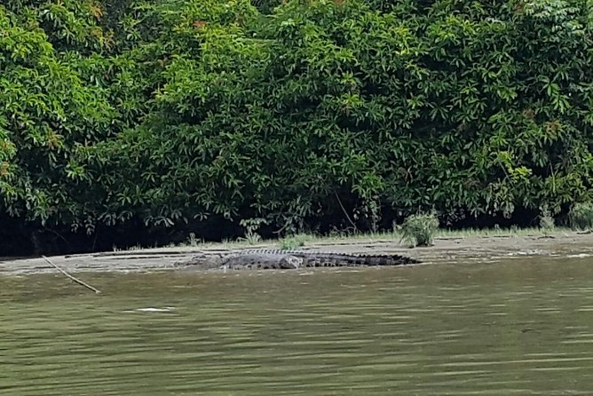 Private Bandar Highlight, Water Village & Proboscis Monkey Tour - Worlds Largest Residential Palace