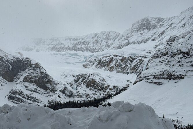 Private Banff Winter Tour with Abraham Lake & More! - Who Is This Tour Best Suited For?