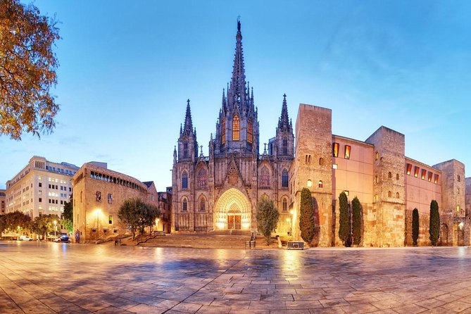 Private Barcelona Walking Tour & Wine Tasting + Tapas Dinner - Tour Features