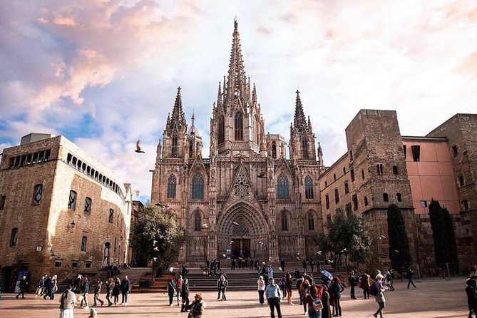 Private Barcelona Walking Tour & Wine Tasting + Tapas Dinner - Logistics and Accessibility