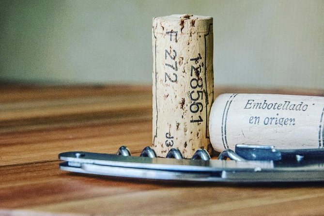 Private Barcelona Walking Tour & Wine Tasting + Tapas Dinner - Reviews and Feedback