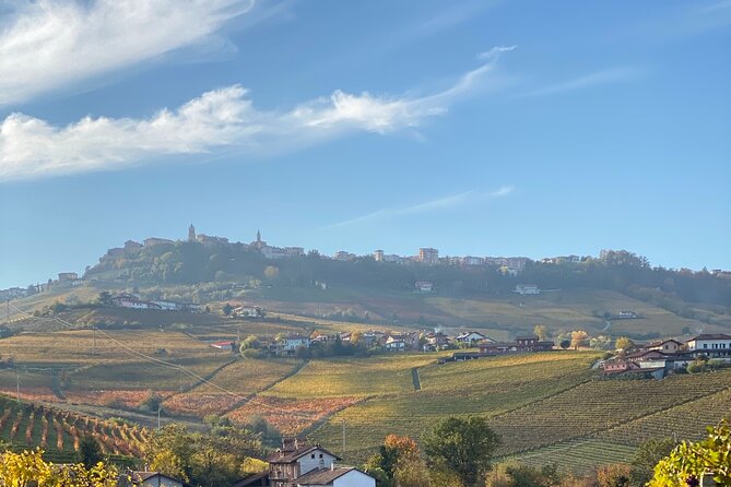 Private Barolo / Barbaresco - Piedmont Wine Tours and Tastings - Customized Itinerary