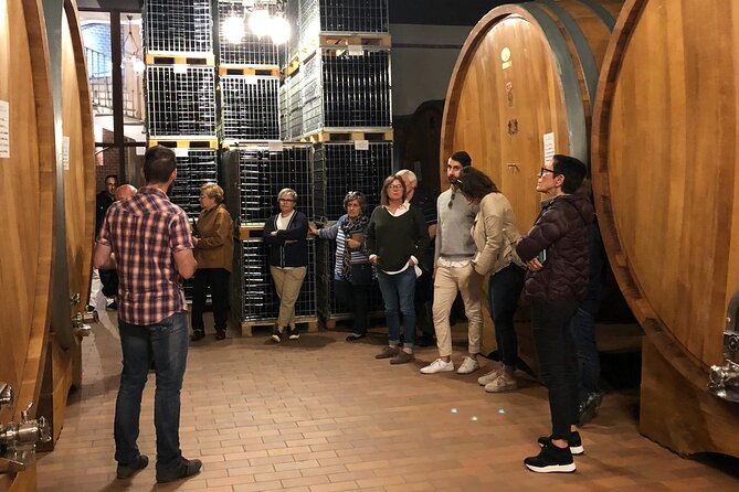 Private Barolo / Barbaresco - Piedmont Wine Tours and Tastings - Included Experiences