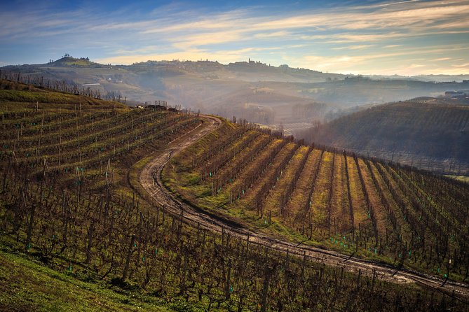 Private Barolo / Barbaresco - Piedmont Wine Tours and Tastings - Knowledgeable Local Guide