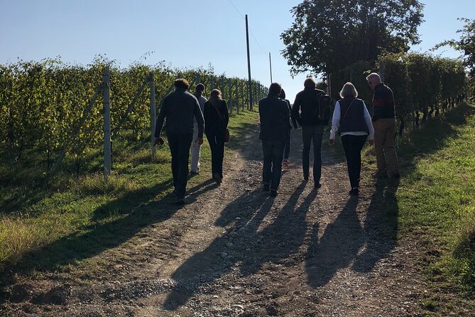 Private Barolo / Barbaresco - Piedmont Wine Tours and Tastings - Insider Wine Insights