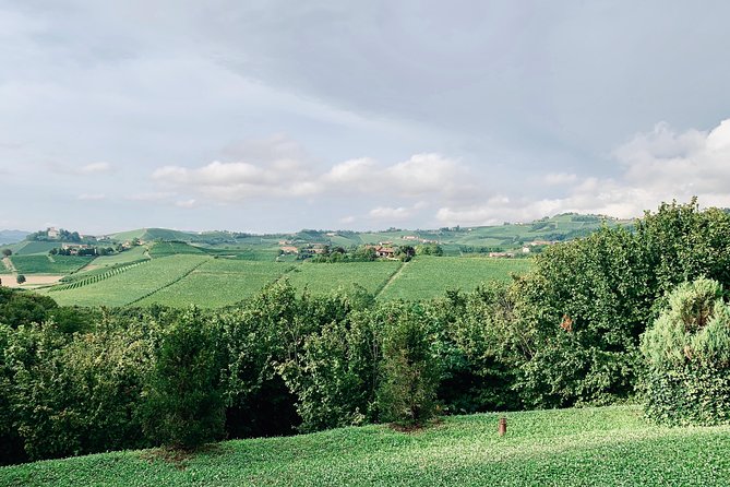 Private Barolo Wine Tour With Winemaker From Turin - Experiencing a Winemaker-Led Tasting
