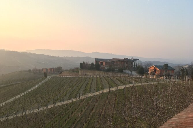 Private Barolo Wine Tour With Winemaker From Turin - Savoring a Delectable Barolo Lunch