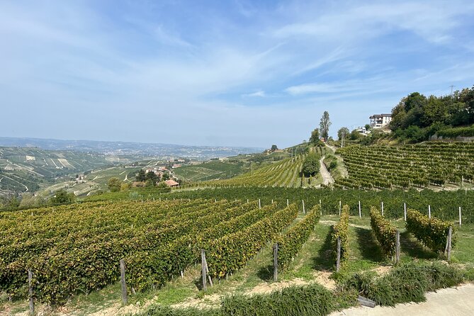 Private Barolo Wine Tour With Winemaker From Turin - The Luxury of a Private Tour