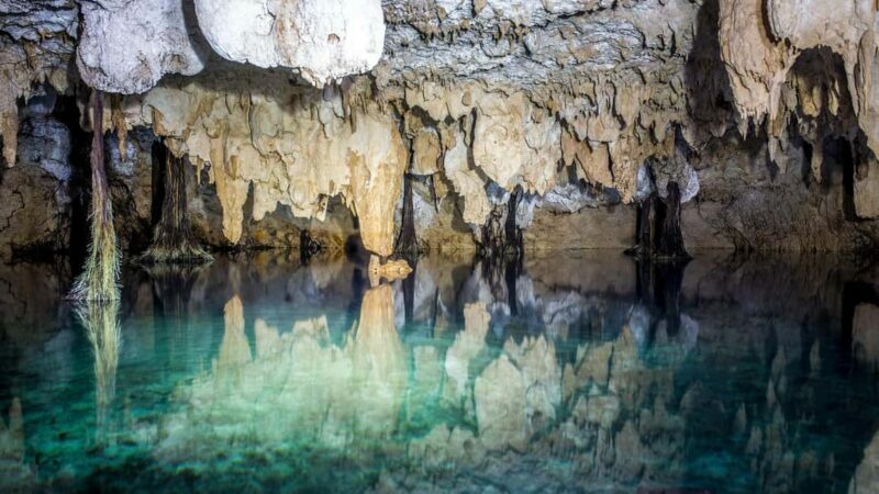Private: Bayahibe: Jungle Walk and Cenote Snorkeling Tour - Practicalities and Tips for Your Day