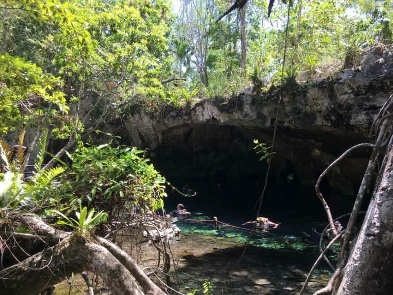 Private: Bayahibe: Jungle Walk and Cenote Snorkeling Tour - What Reviewers Say