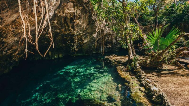 Private: Bayahibe: Jungle Walk and Cenote Snorkeling Tour - Who Should Consider This Tour?