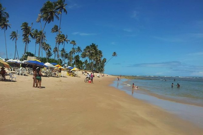 Private Beach Buggy Tour - Praia Do Forte by Emytour - Meeting and Pickup Details