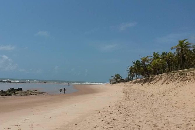 Private Beach Buggy Tour - Praia Do Forte by Emytour - Safety and Medical Considerations