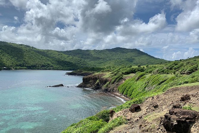 Private Beach Horseback Ride With Sandy Hoofs St. Lucia - Customer Experiences and Reviews