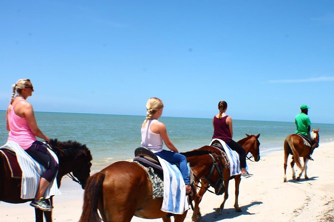 Private Beach Horseback Riding From Ocho Rios - About Your Stay