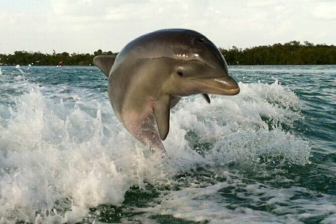 Private Beach or Sunset Boat Tour In Naples Florida - What Makes This Tour Stand Out